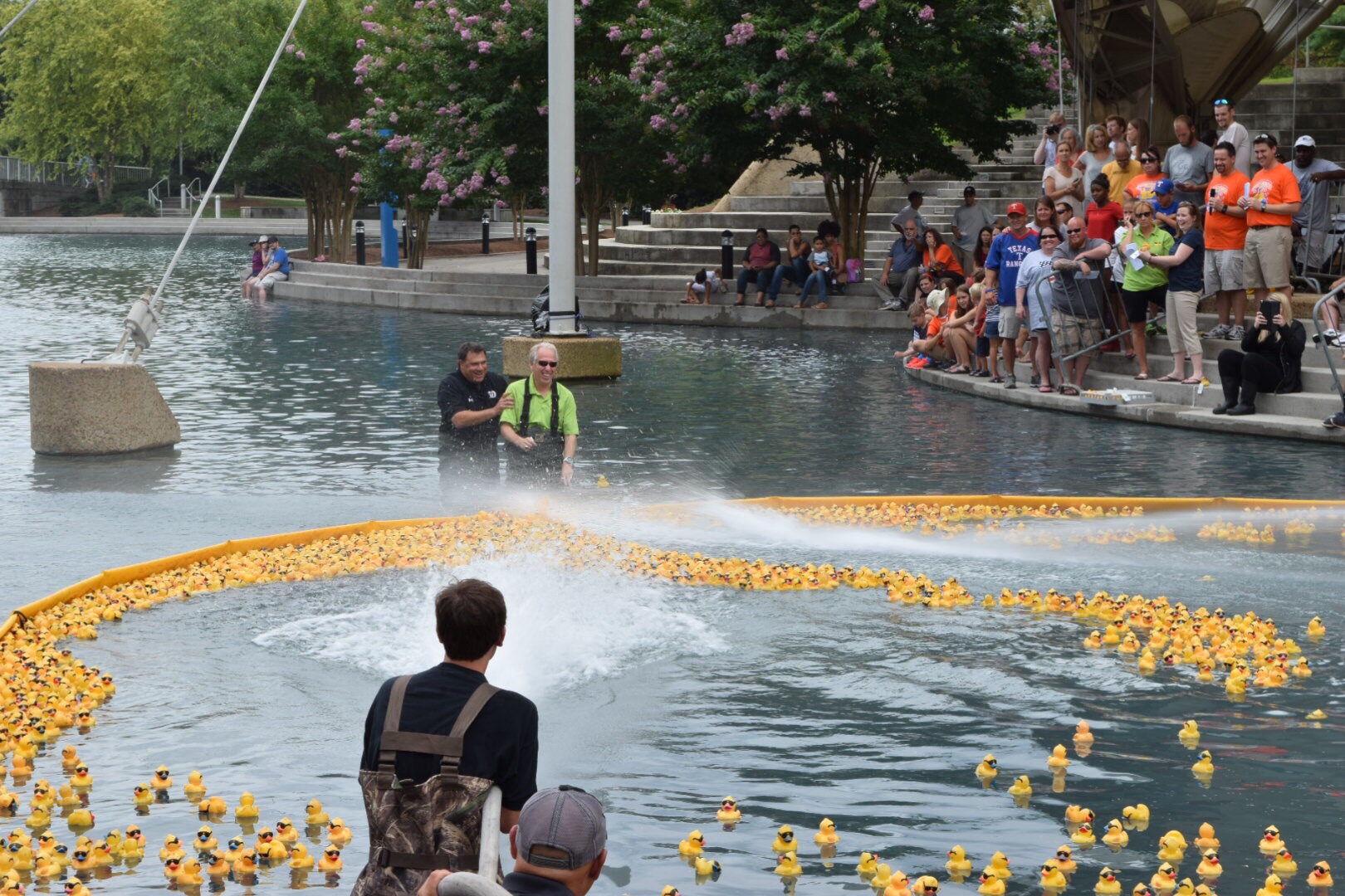 30K+ ducks fill pond in 2015 Boys & Girls Club duck race ...