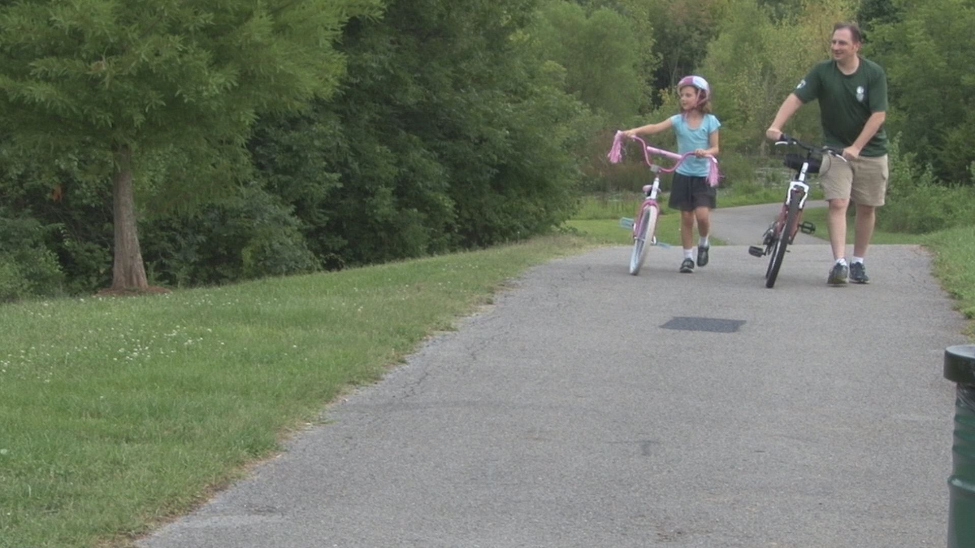 Wetland project puts Halls greenway on hold