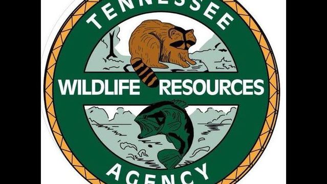 Tennessee wildlife resources agency jobs