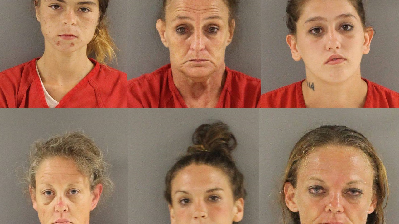 Knoxville police arrest 10 women in prostitution sting | 11alive.com
