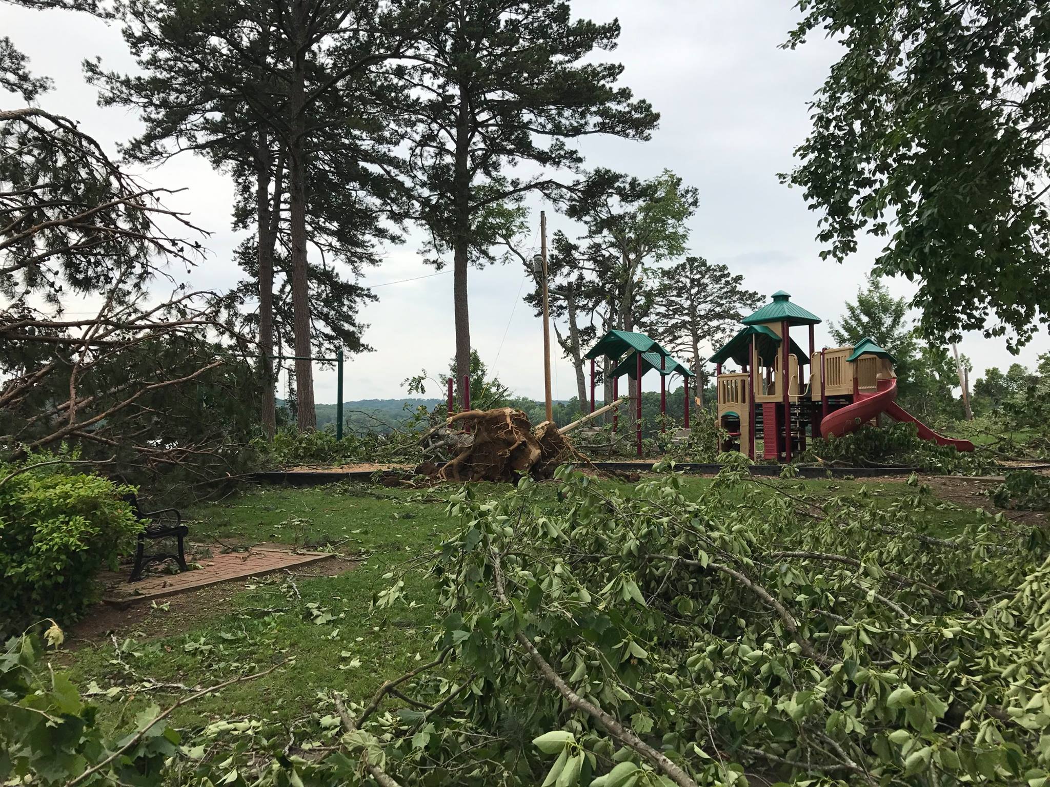 Fund established to restore the Cove at Concord Park