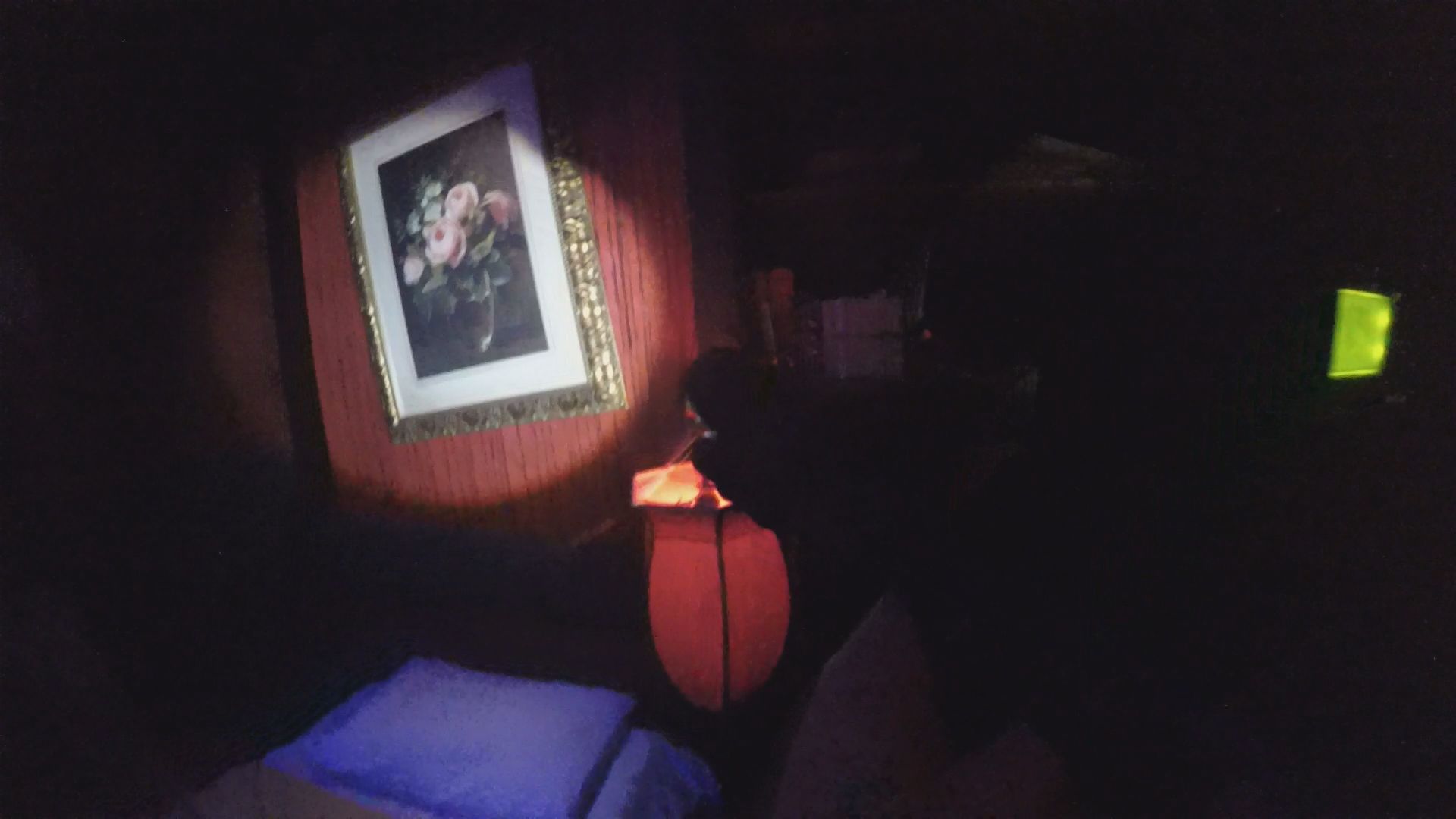 Spotlight Escape Room Laser Spotlight Escape Room Laser