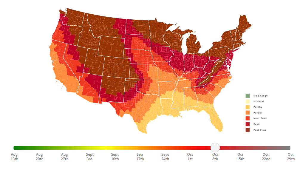 Fall colors forecast Vibrant foliage to peak early this year