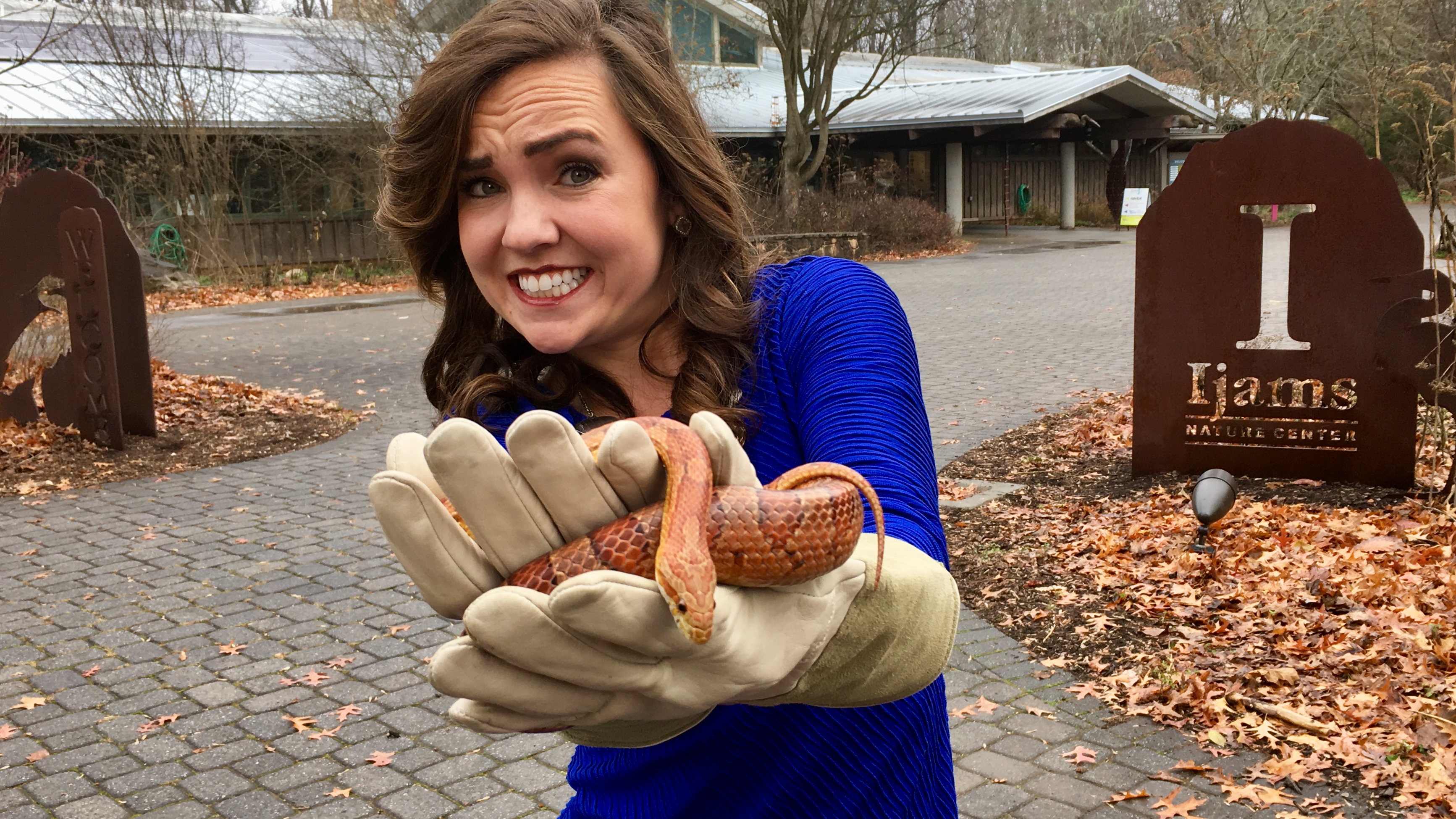 Wbir News Team - 2bygdxi