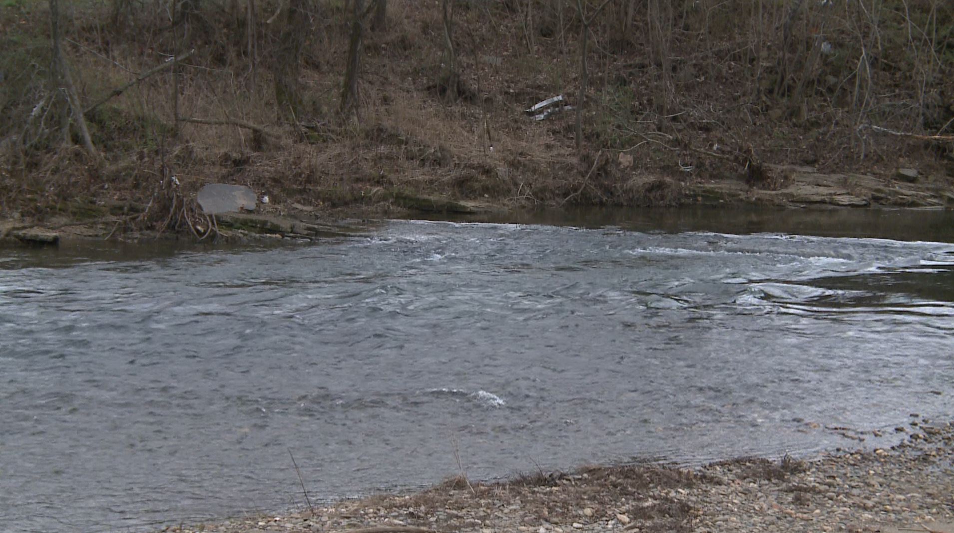 wbir.com | TWRA to resume trout stocking in Little Pigeon River