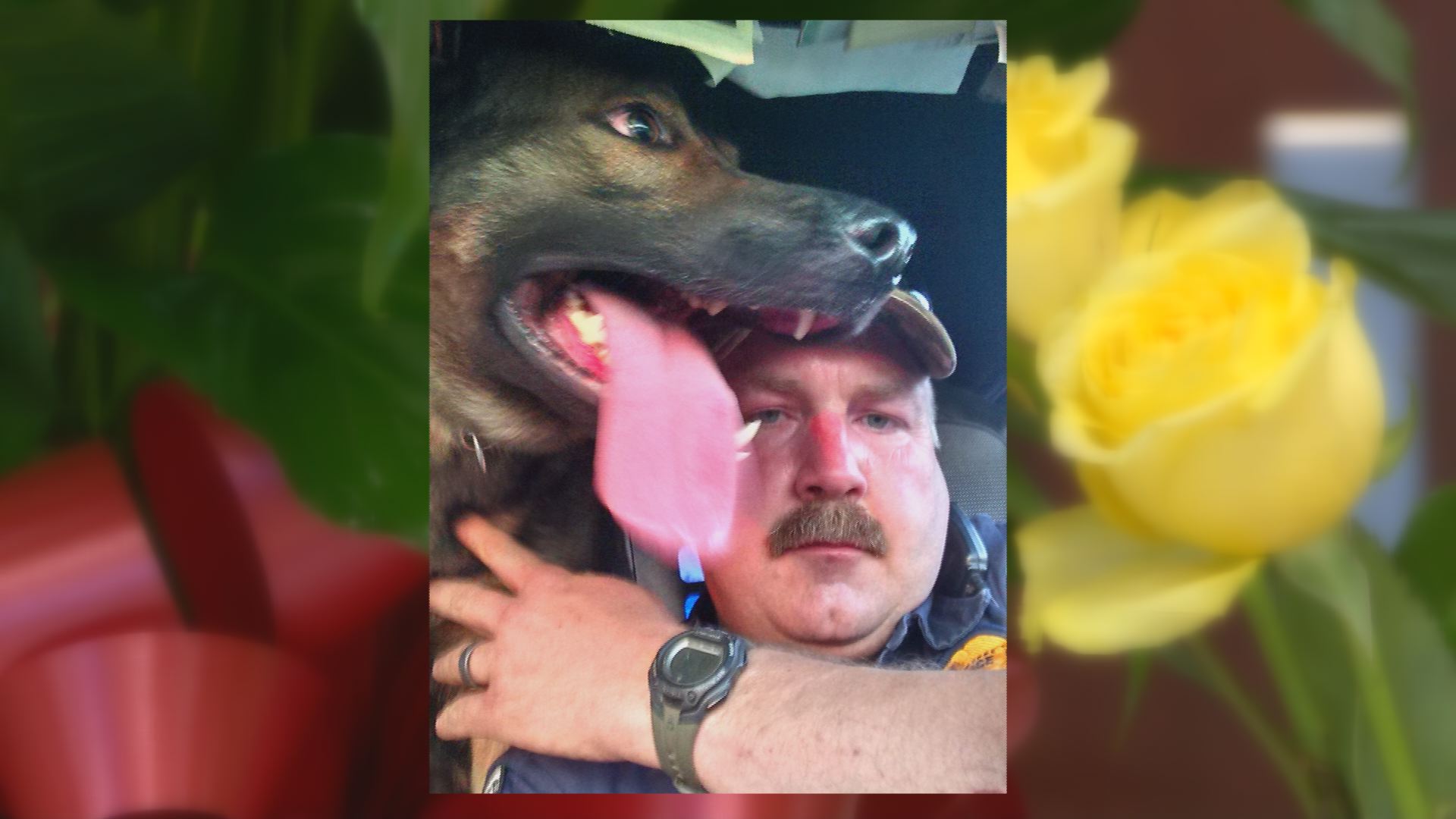 K-9 Cain's handler remembers his fallen hero | wbir.com